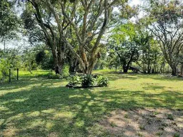 Fazenda venda em Região Geográfica Imediata de Divinópolis, Conceição do Pará