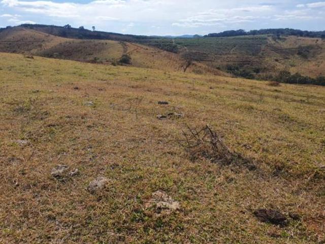 Sítio e chácara venda em Região Geográfica Imediata de São Lourenço, Conceição do Rio Verde