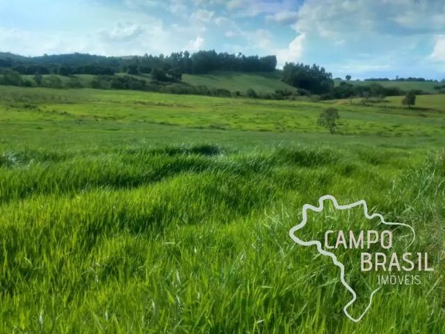 Fazenda venda em Região Geográfica Imediata de São Lourenço, Conceição do Rio Verde