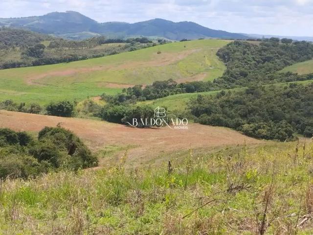 Fazenda venda em Região Geográfica Imediata de São Lourenço, Conceição do Rio Verde