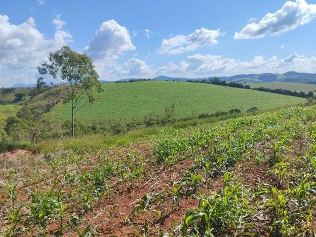 Fazenda venda em Região Geográfica Imediata de São Lourenço, Conceição do Rio Verde