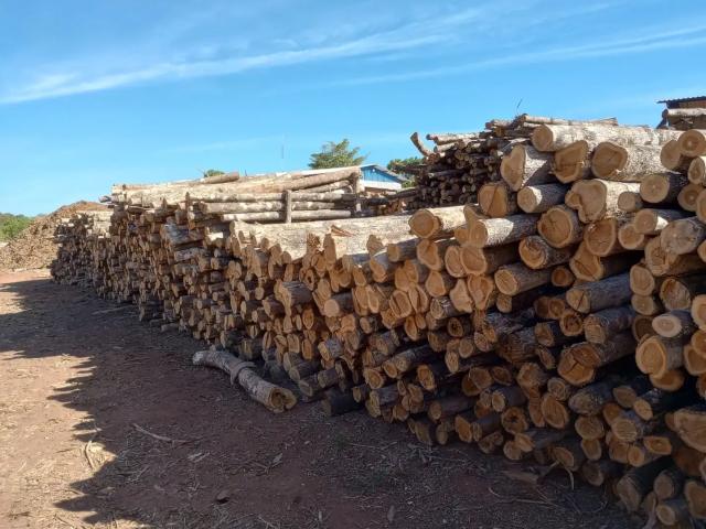 Fazenda venda em Região Geográfica Imediata de Dianópolis, Conceição do Tocantins