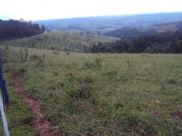 Sítio e chácara venda em Região Imediata de Itapetininga, Região Metropolitana de Sorocaba