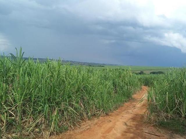 Sítio e chácara venda em Região Imediata de Araras, Região Metropolitana de Piracicaba