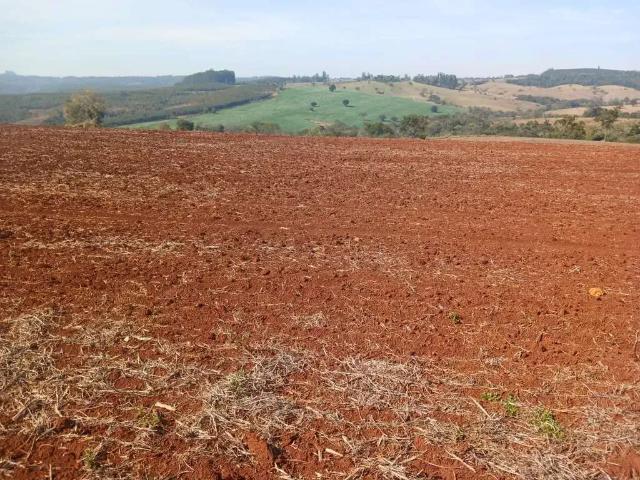 Fazenda venda em Região Imediata de Botucatu, Conchas