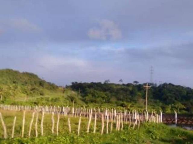 Fazenda venda em Conde