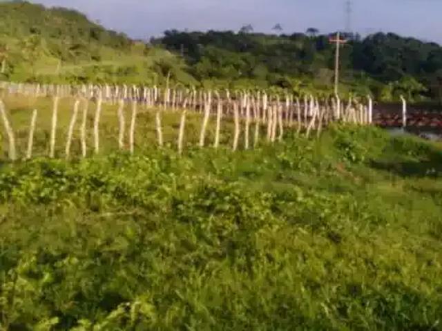 Fazenda venda em Região Geográfica Imediata de João Pessoa, Região Metropolitana de João Pessoa