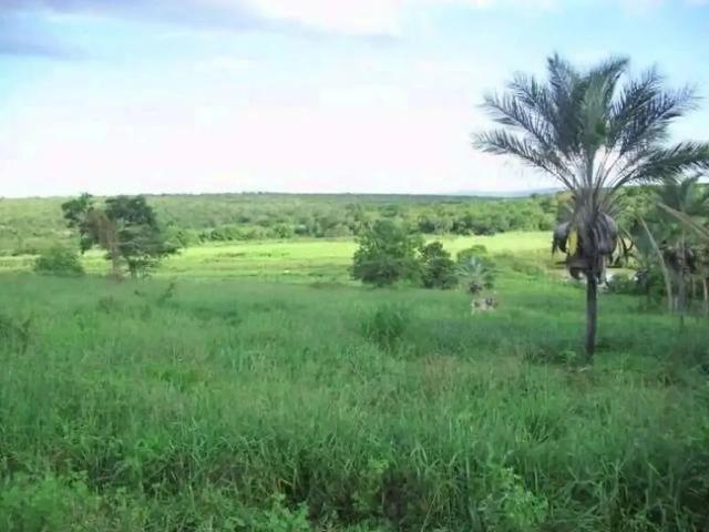 Fazenda venda em Região Geográfica Imediata de Vitória da Conquista, Condeúba