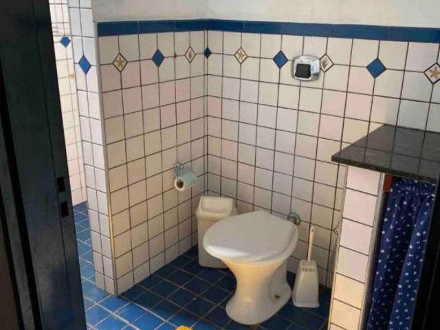 Sítio e chácara venda em Zacarias