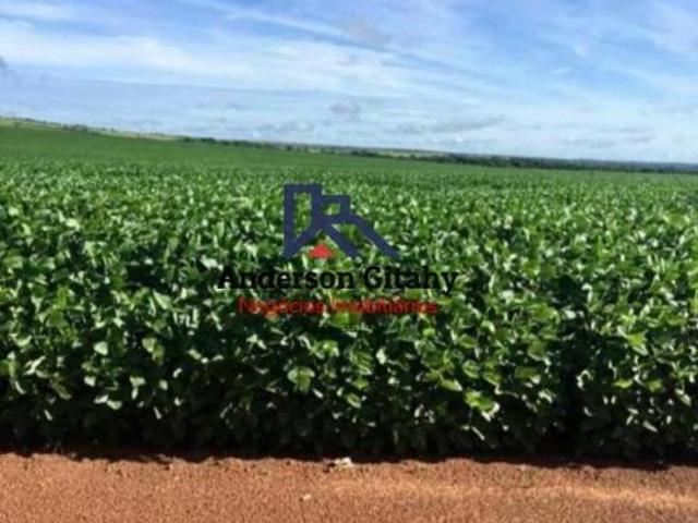 Sítio e chácara venda em Região Geográfica Imediata de Confresa - Vila Rica, Confresa