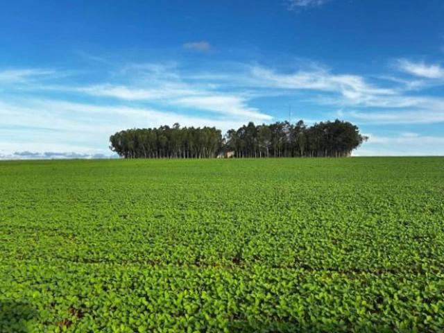 Fazenda venda em Universitário, Confresa