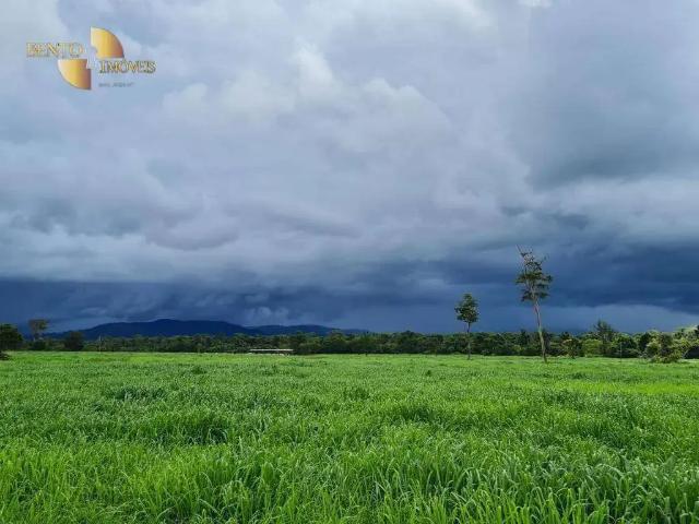 Fazenda venda em Região Geográfica Imediata de Confresa - Vila Rica, Confresa