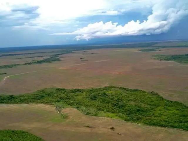 Fazenda venda em Região Geográfica Imediata de Confresa - Vila Rica, Confresa