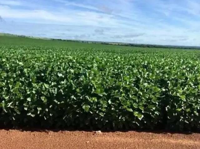Fazenda venda em Região Geográfica Imediata de Confresa - Vila Rica, Confresa