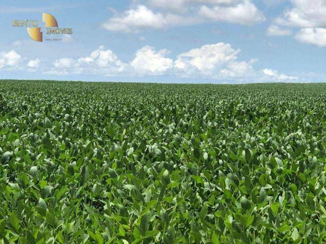 Fazenda venda em Universitário, Confresa