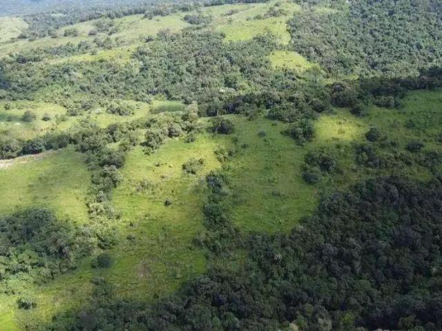 Fazenda venda em Região Geográfica Imediata de Cornélio Procópio-Bandeirantes, Congonhinhas