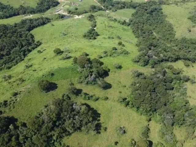 Fazenda venda em Região Geográfica Imediata de Cornélio Procópio-Bandeirantes, Congonhinhas
