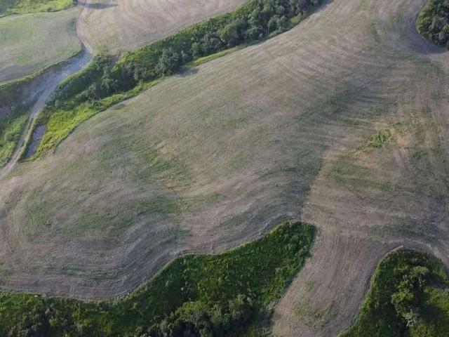 Fazenda venda em Congonhinhas, Região Geográfica Intermediária de Londrina