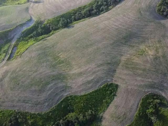 Fazenda venda em Região Geográfica Imediata de Cornélio Procópio-Bandeirantes, Congonhinhas