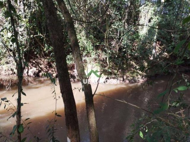 Sítio e chácara venda em Saltinho, Londrina