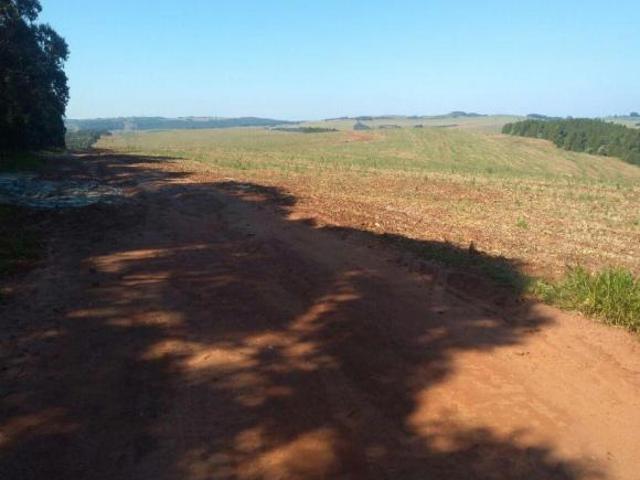 Sítio e chácara venda em Região Imediata de Itapeva, Itapeva