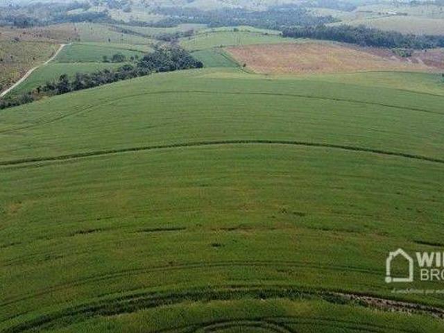 Sítio e chácara venda em Região Geográfica Imediata de Ibaití, Conselheiro Mairinck