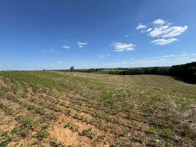 Fazenda venda em Região Geográfica Imediata de Curitiba, Região Metropolitana de Curitiba