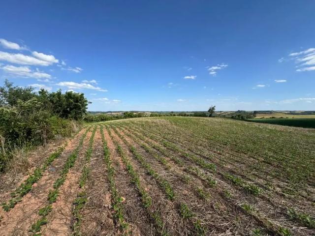 Fazenda venda em Região Geográfica Imediata de Curitiba, Região Metropolitana de Curitiba