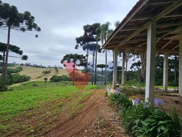 Fazenda venda em Contenda, Região Geográfica Intermediária de Curitiba
