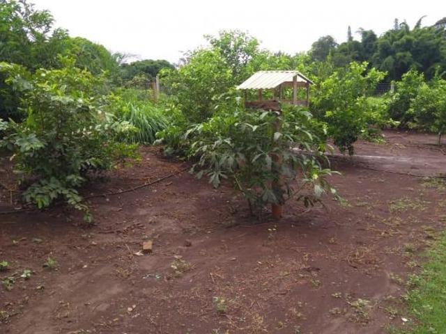Sítio e chácara venda em Região Geográfica Imediata de Gurupi, Formoso do Araguaia
