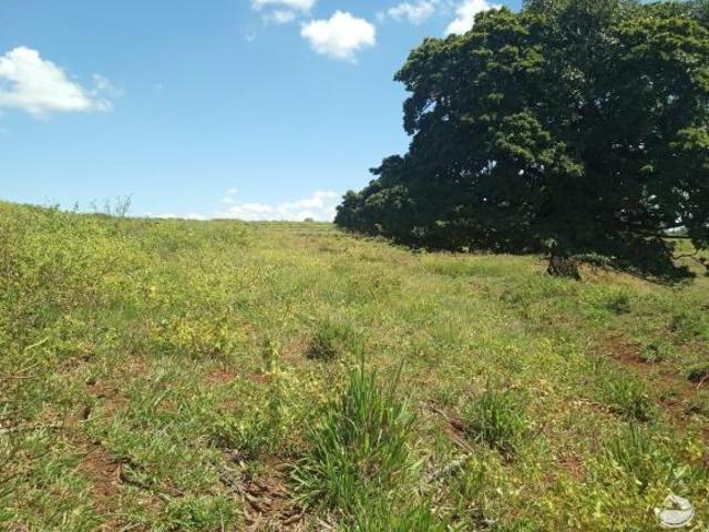 Sítio e chácara venda em Região Geográfica Imediata de Uberlândia, Oliveira Fortes