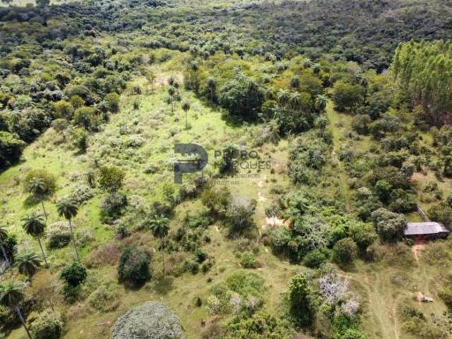 Sítio e chácara venda em Região Geográfica Imediata de Sete Lagoas, Cordisburgo