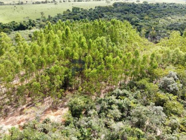 Sítio e chácara venda em Região Geográfica Imediata de Sete Lagoas, Cordisburgo