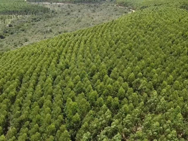 Fazenda venda em Região Geográfica Imediata de Sete Lagoas, Cordisburgo