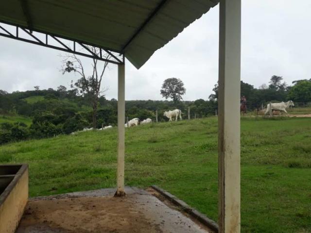 Fazenda venda em Região Geográfica Imediata de Sete Lagoas, Cordisburgo