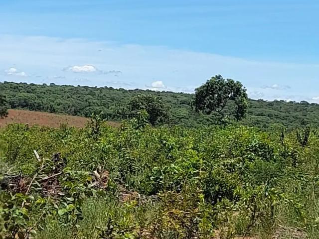 Fazenda venda em Região Geográfica Imediata de Sete Lagoas, Cordisburgo