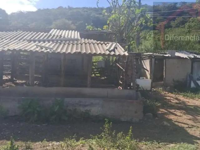 Fazenda venda em Região Geográfica Imediata de Sete Lagoas, Cordisburgo