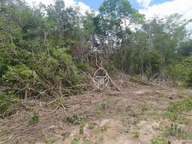 Fazenda venda em Coribe, Região Nordeste