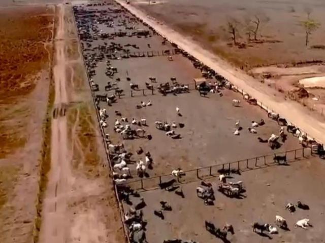 Fazenda venda em Corinto, Região Geográfica Intermediária de Belo Horizonte