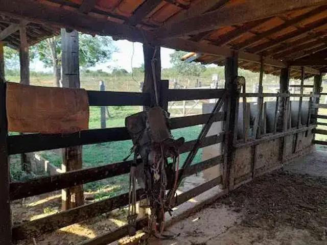 Fazenda venda em Região Geográfica Imediata de Juazeiro do Norte, Crato