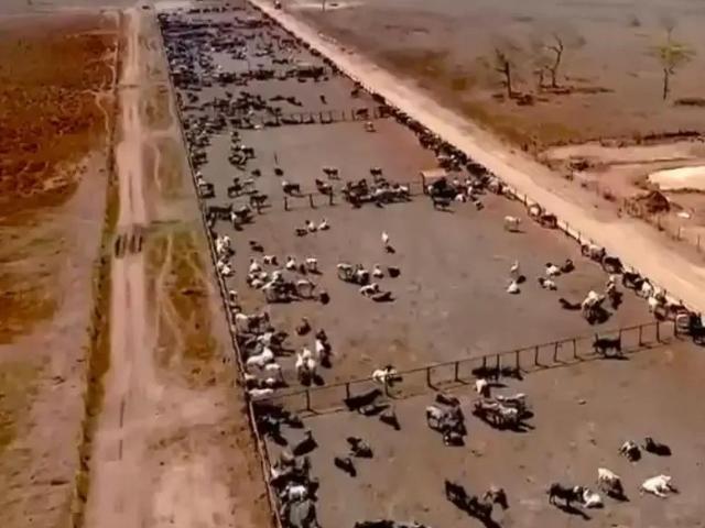 Fazenda venda em Região Geográfica Imediata de Curvelo, Corinto
