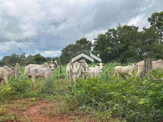 Fazenda venda em Região Geográfica Imediata de Juazeiro do Norte, Crato