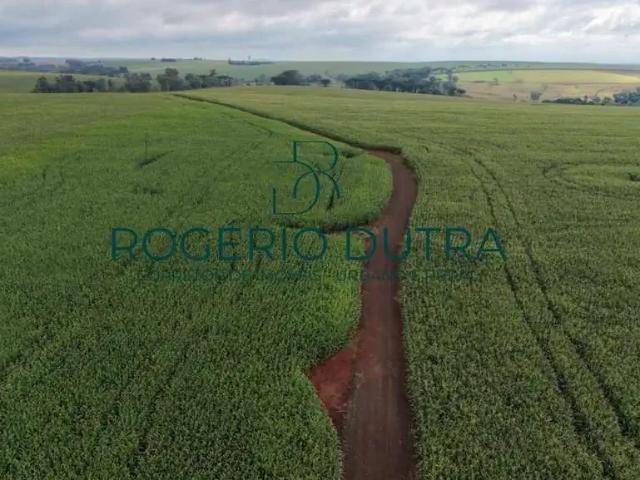Fazenda venda em Região Geográfica Imediata de Cornélio Procópio-Bandeirantes, Cornélio Procópio