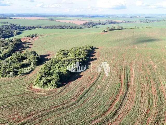 Fazenda venda em Região Geográfica Imediata de Cornélio Procópio-Bandeirantes, Cornélio Procópio