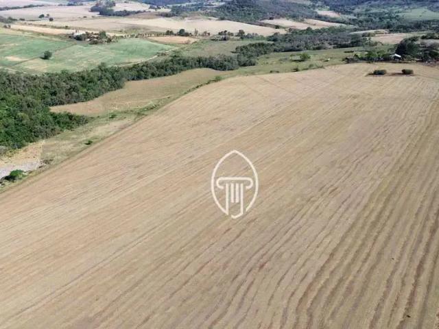 Fazenda venda em Região Geográfica Imediata de Cornélio Procópio-Bandeirantes, Cornélio Procópio