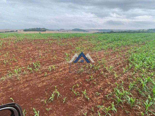 Fazenda venda em Região Geográfica Imediata de Cornélio Procópio-Bandeirantes, Cornélio Procópio