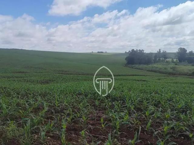 Fazenda venda em Região Geográfica Imediata de Cornélio Procópio-Bandeirantes, Cornélio Procópio