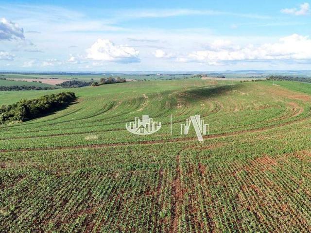 Fazenda venda em Região Geográfica Imediata de Cornélio Procópio-Bandeirantes, Cornélio Procópio