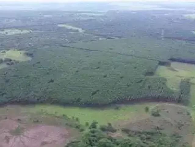 Fazenda venda em Região Geográfica Imediata de Patrocínio, Coromandel