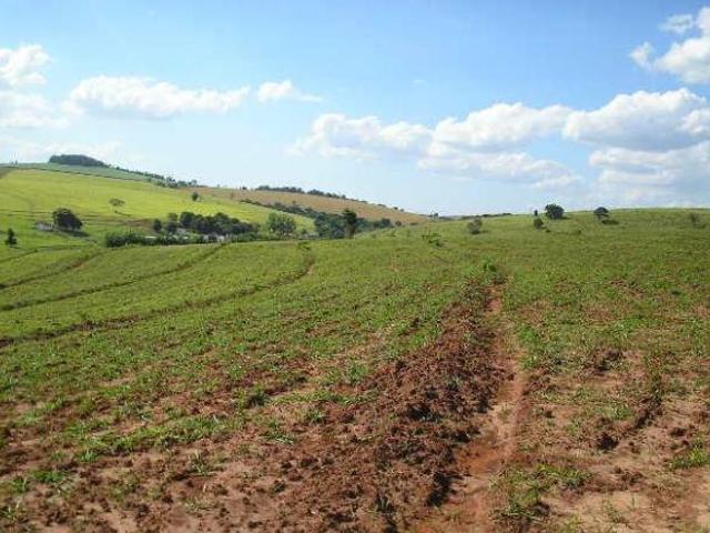 Sítio e chácara venda em Região Imediata de Avaré, Coronel Macedo
